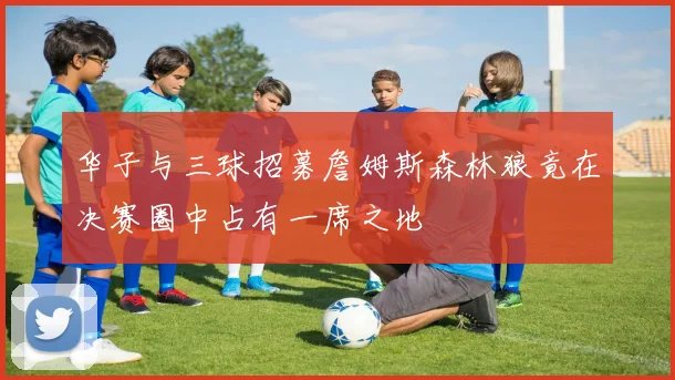 华子与三球招募詹姆斯森林狼竟在决赛圈中占有一席之地